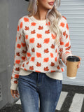 Long Sleeved Loose Pullover Knitted Sweater