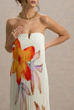 Women Printed Tubular Loose Pleated Long Dress